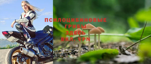 стаф Алексеевка