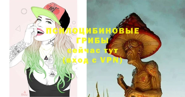 стаф Алексеевка